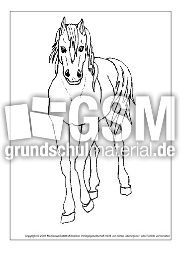 Pferd-3.pdf